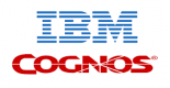 Image for the IBM Cognos